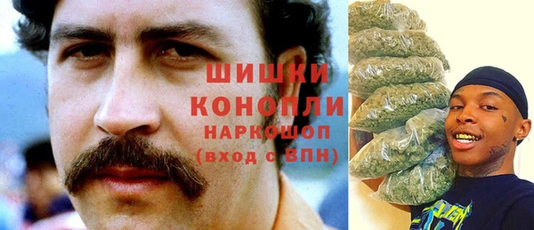 ешки Алексеевка