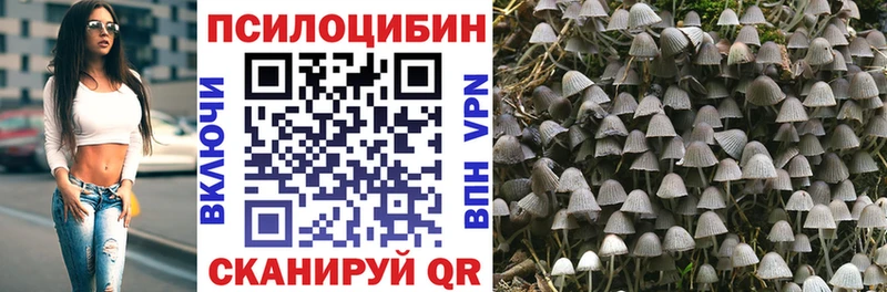 Псилоцибиновые грибы ЛСД  купить  цена  Приморск 